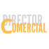 DirectorComercial.es