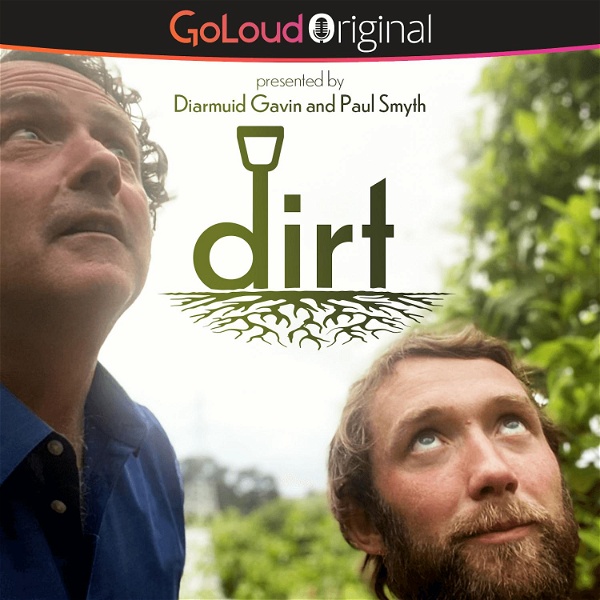 Artwork for DIRT with Diarmuid Gavin and Paul Smyth