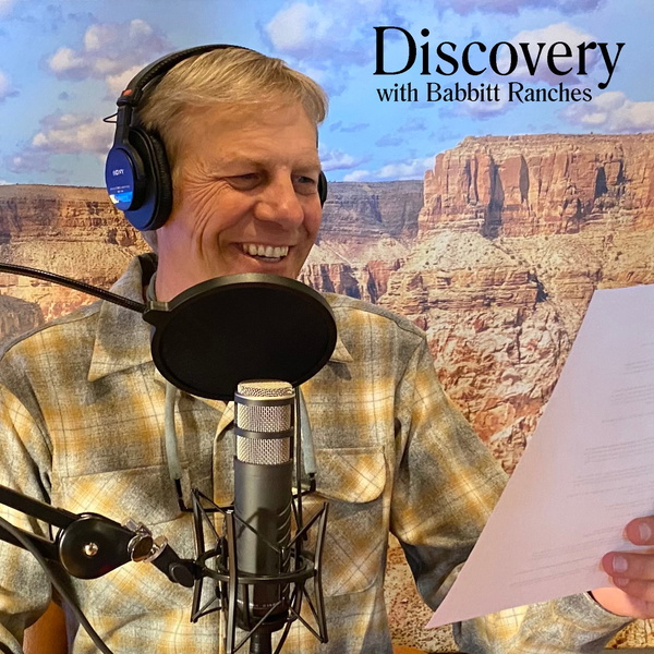 Artwork for Discovery