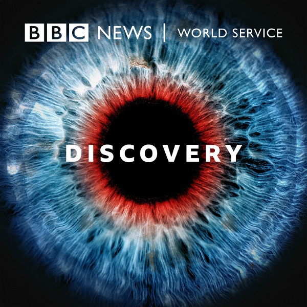 Artwork for Discovery