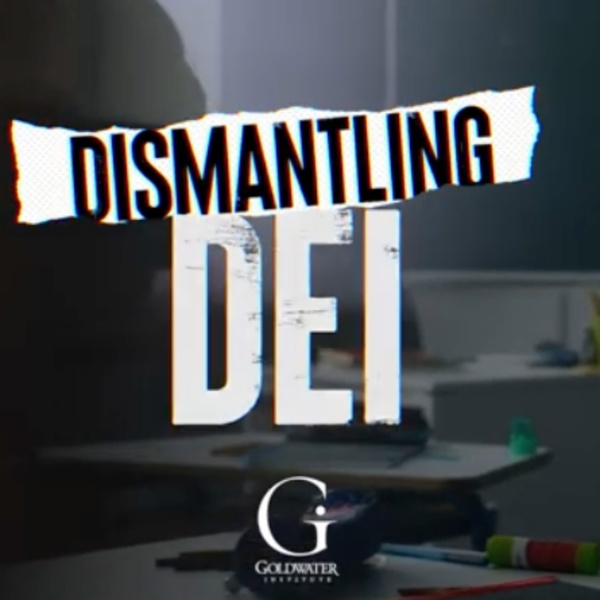 Artwork for Dismantling DEI
