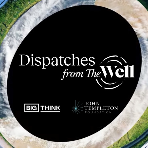 Artwork for Dispatches from The Well
