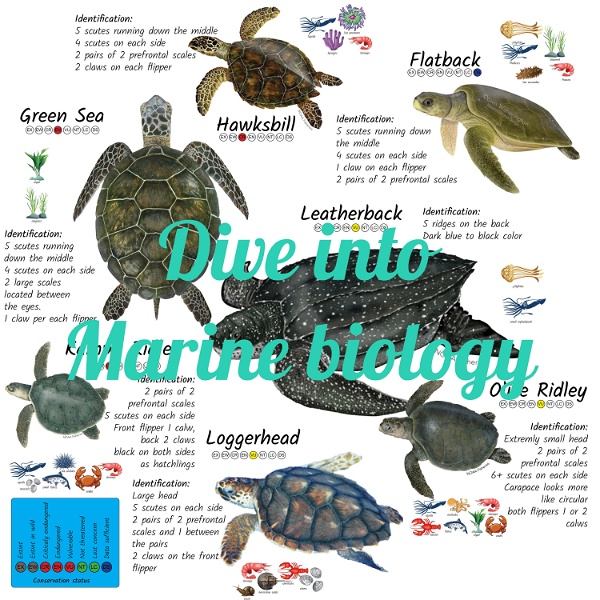 Artwork for Dive into Marine biology