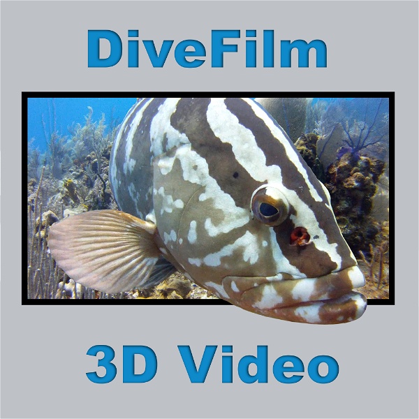 Artwork for DiveFilm 3D Video