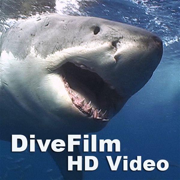 Artwork for DiveFilm HD Video