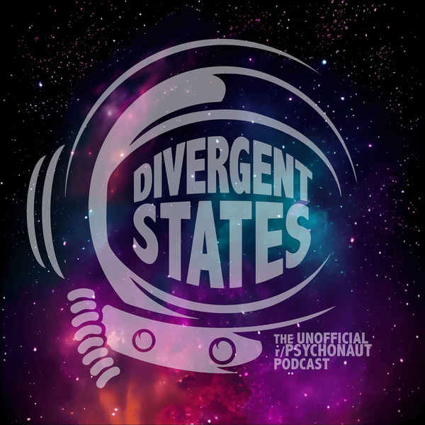 Artwork for Divergent States