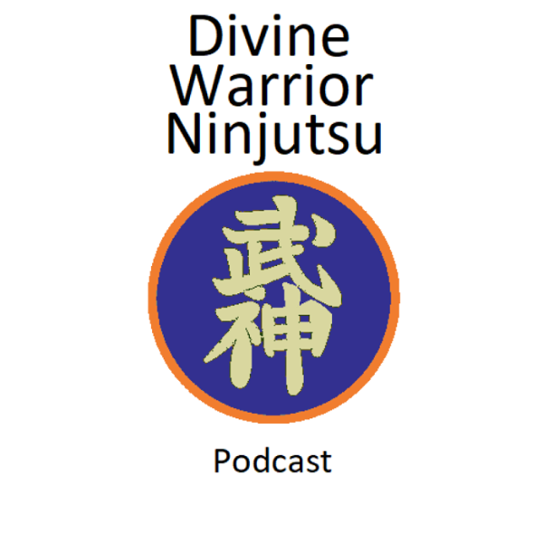 Artwork for Divine Warrior Ninjutsu