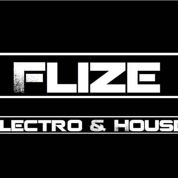 Artwork for Dj Flize