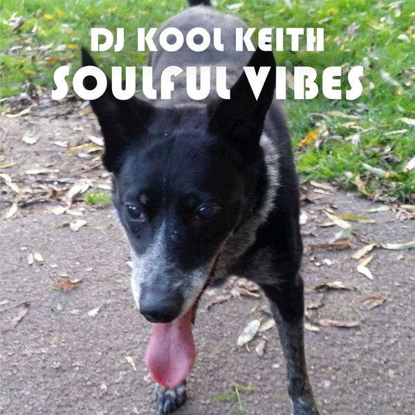 Artwork for DJ Kool Soulful Vibes