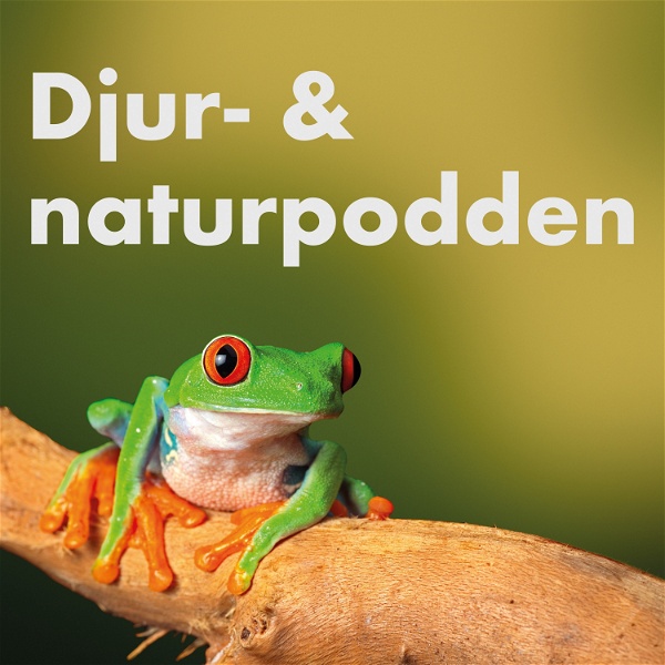 Artwork for Djur- & naturpodden