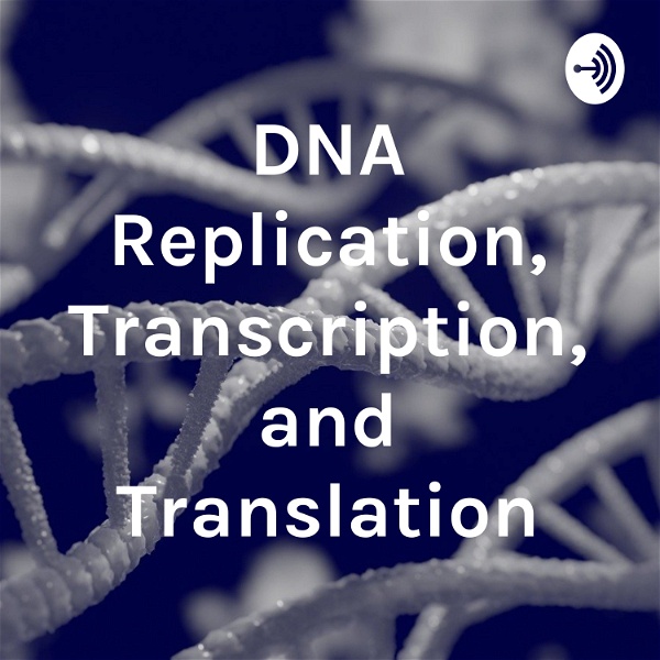 Artwork for DNA Replication, Transcription, and Translation