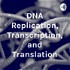 DNA Replication, Transcription, and Translation