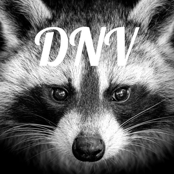 Artwork for DNV