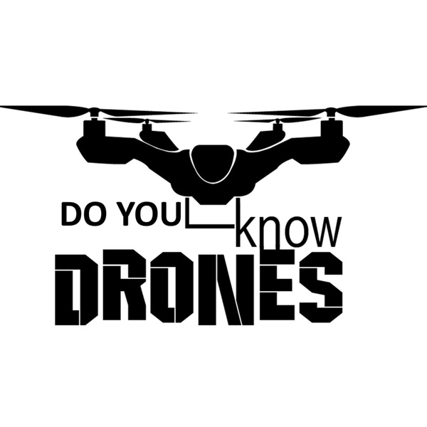 Artwork for Do You Know Drones?