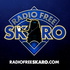 Doctor Who: Radio Free Skaro