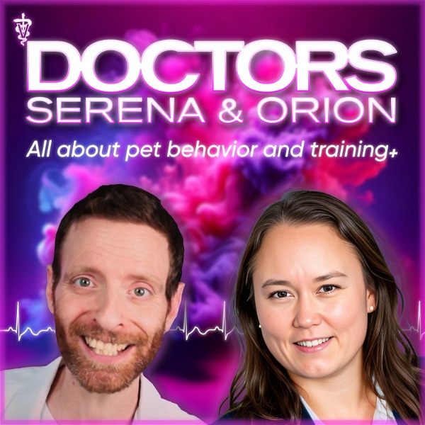 Artwork for Doctors Serena and Orion