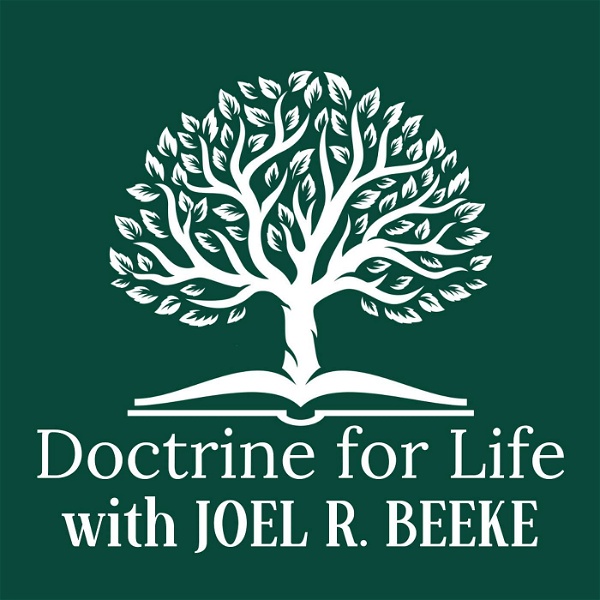 Artwork for Doctrine for Life