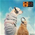 Dog City - Окунемся в мир домашних животных