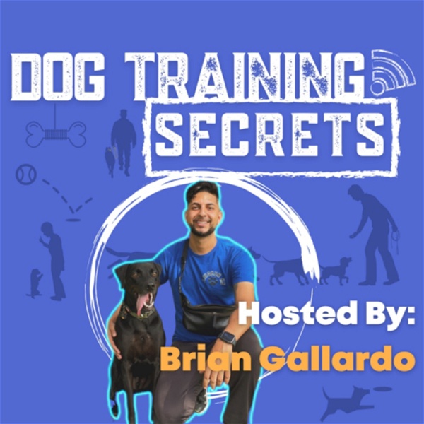 Artwork for Dog Training Secrets