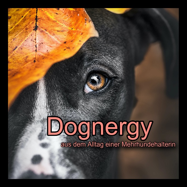 Artwork for Dognergy