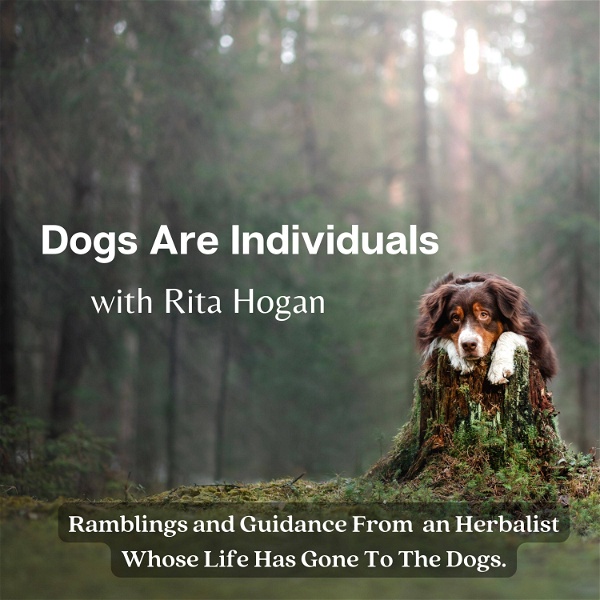 Artwork for Dogs Are Individuals