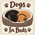 Dogs In Beds.