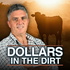 Dollars In The Dirt