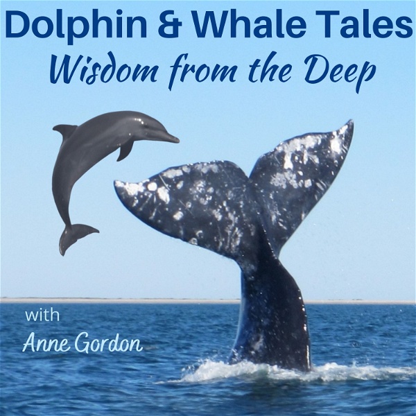 Artwork for Dolphin & Whale Tales, Wisdom from the Deep