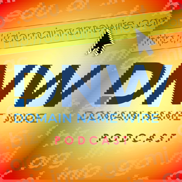 Artwork for Domain Name Wire Podcast