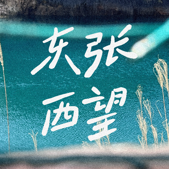 Artwork for 东张西望plus