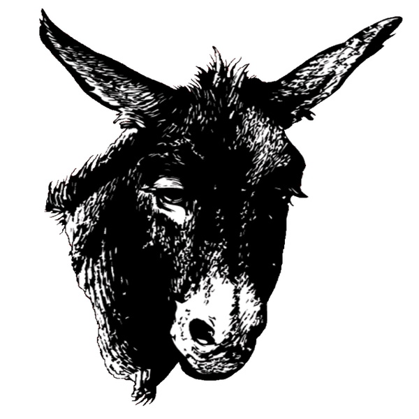 Artwork for Donkey Meat Podcast