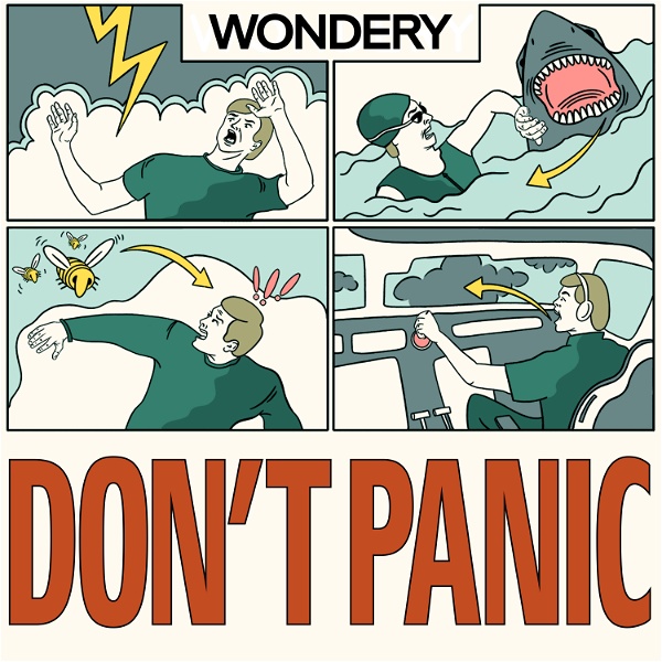 Artwork for Don't Panic