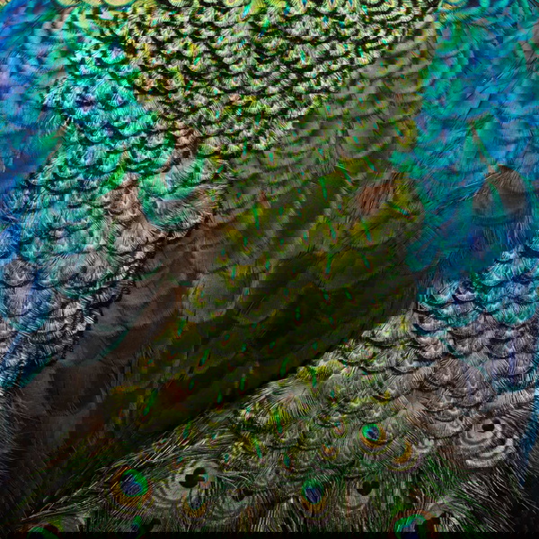 Artwork for Don't You Dare To Think Out Loud!