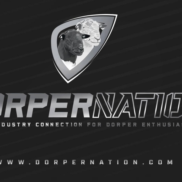 Artwork for Dorper Nation