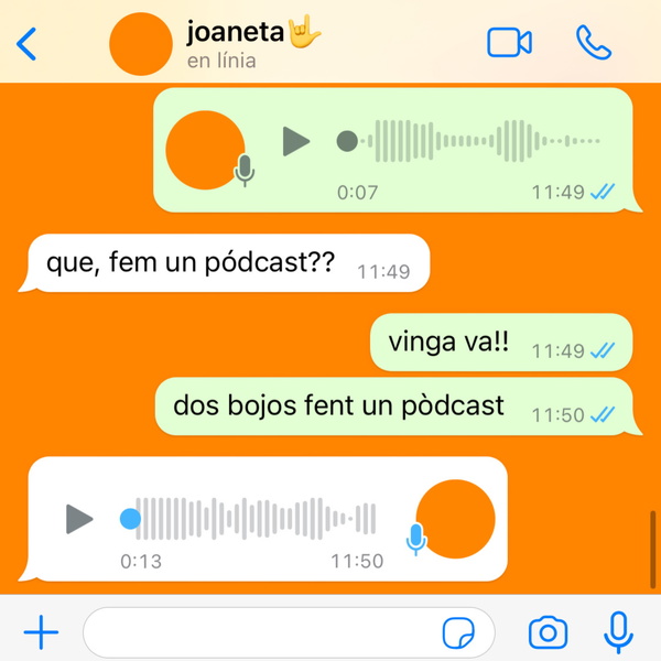 Artwork for Dos bojos fent un pòdcast