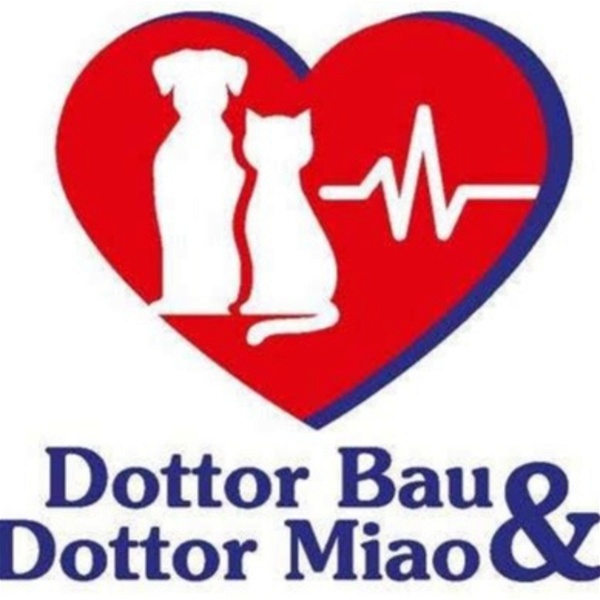 Artwork for Dottor Bau & Dottor Miao