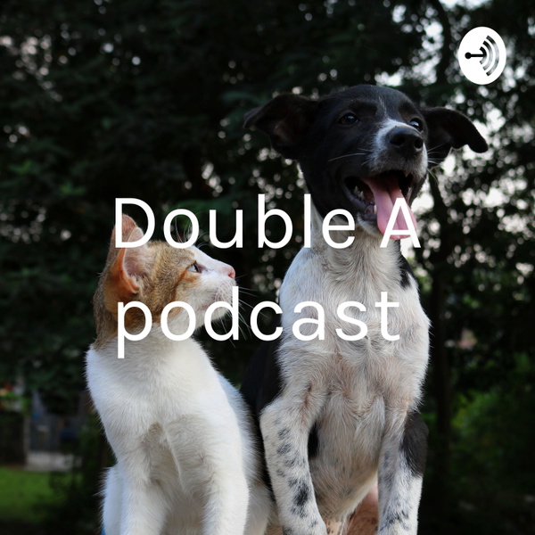 Artwork for Double A podcast