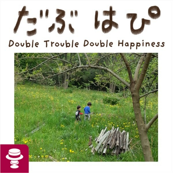 Artwork for Double Trouble Double Happiness