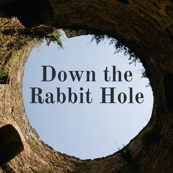Artwork for Down the Rabbit Hole