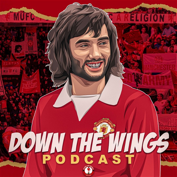 Artwork for DOWN THE WINGS PODCAST