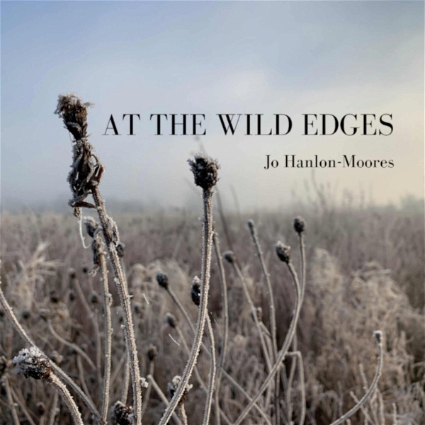Artwork for At The Wild Edges