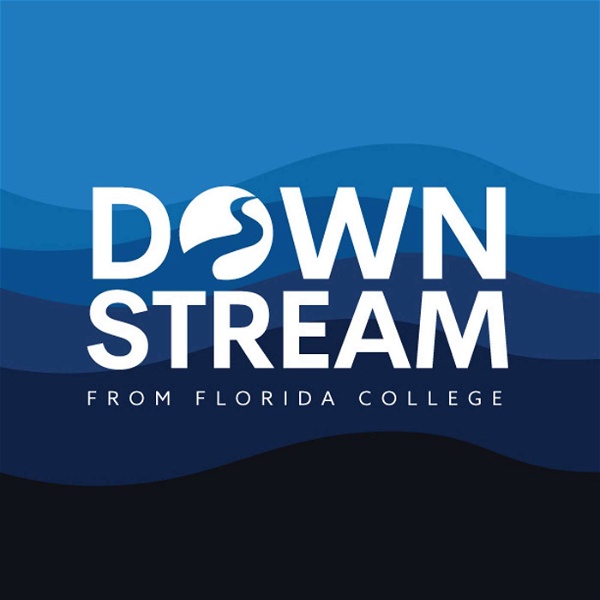 Artwork for Downstream from Florida College