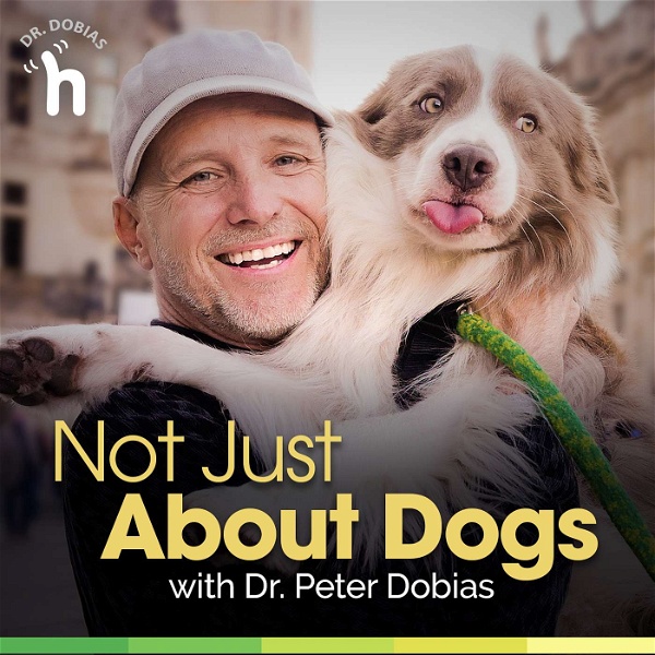 Artwork for Not Just About Dogs