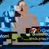 Dr. Green Mom® Unfiltered