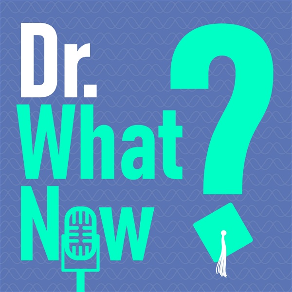 Artwork for Dr. What Now?
