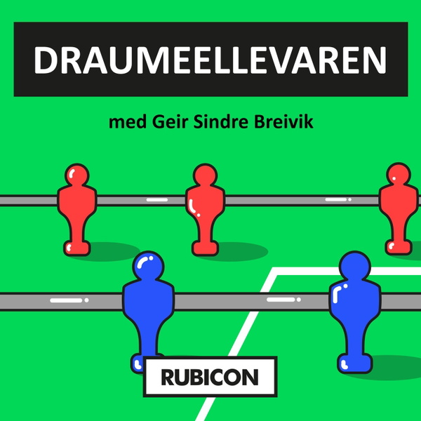 Artwork for Draumeellevaren