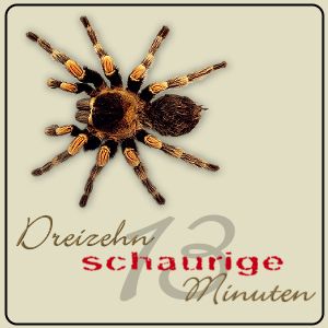 Artwork for Dreizehn schaurige Minuten