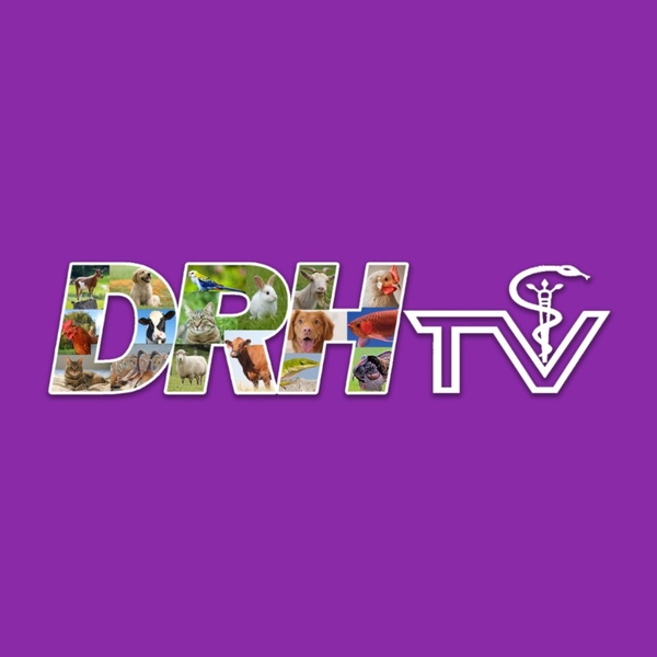 Artwork for DRHTV