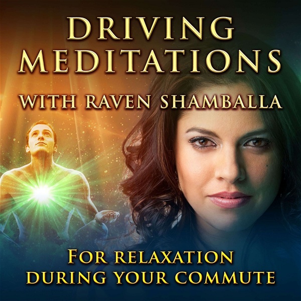 Artwork for Driving Meditations