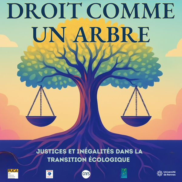 Artwork for Droit comme un arbre